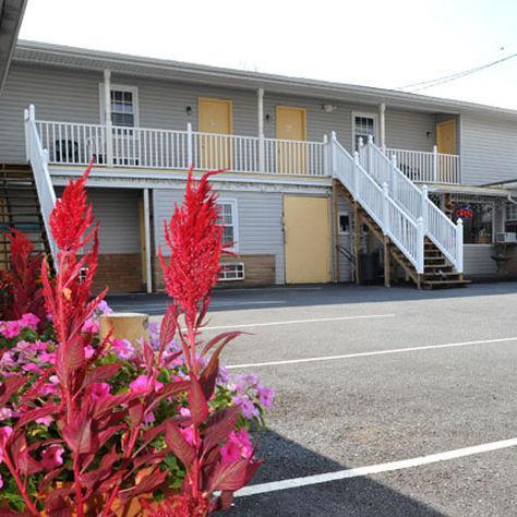 Dutch By Oyo Near Hershey Park Motel Palmyra